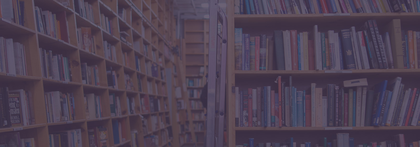 最完美的人永遠(yuǎn)在我們的夢里