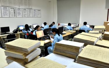 檔案數(shù)字化服務(wù)